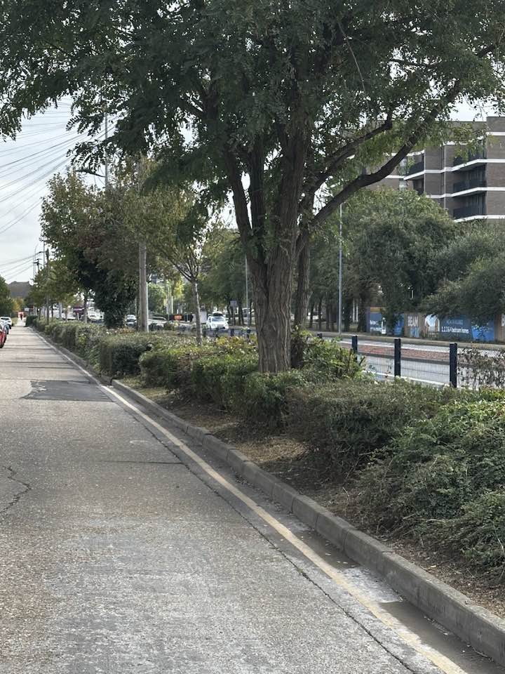 New Road Cleared